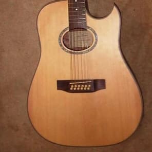 Jay turser sales 12 string