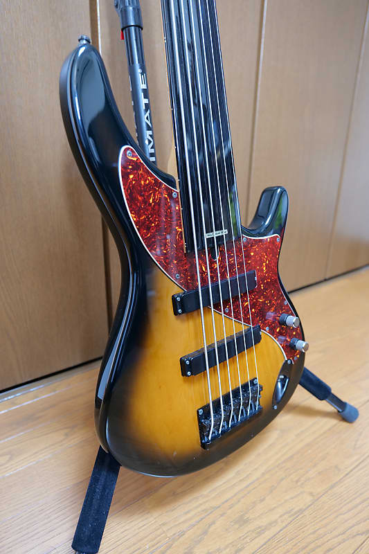 Aria Pro II Steve Bailey Model 6 string fretless Late 1990s