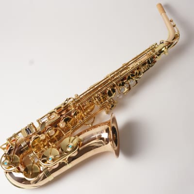 [In Stock]_Freeshipping! Yanagisawa Alto saxophone A WO-2 [AWO2]Bronze Brass Body image 2