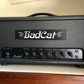 Bad Cat Judah 20-Watt Guitar Amp Head