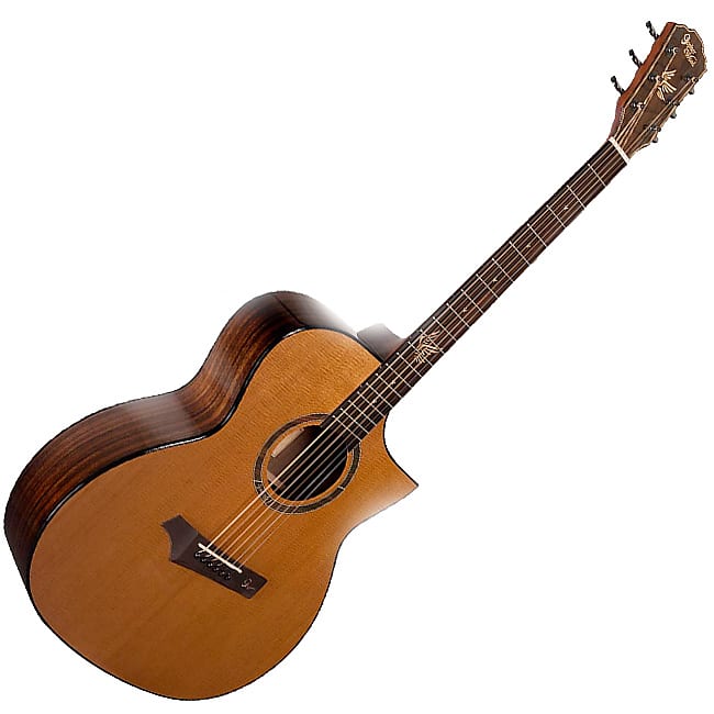 GopherWood i320RCE NA(Gloss) GA Cutaway Roasteed Spruce Solid