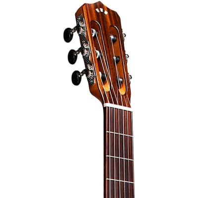 Cordoba Fusion 12 Natural Cedar Top Classical Acoustic-Electric Guitar Natural image 8
