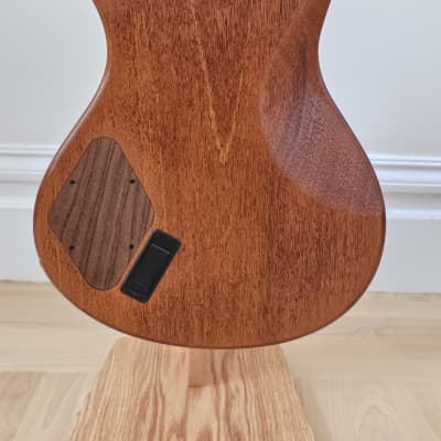 ViK Guitars Galaxy SCA-6 2015 - One-Piece Redwood image 10
