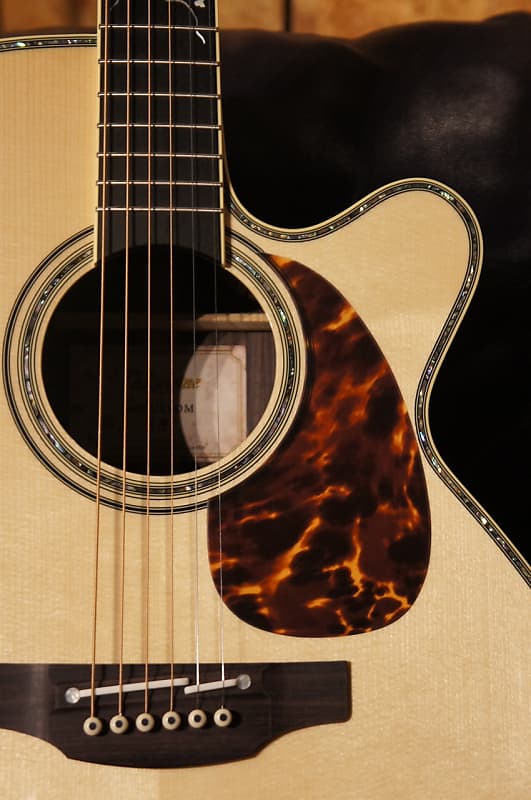 Takamine Takamine DMP500 CTM~王道(oudou)~【道(Michi)】【2022】【Limited】 2022  NT【NGY025】