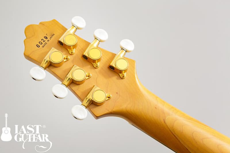 F&C Anboy GF-55 | Reverb
