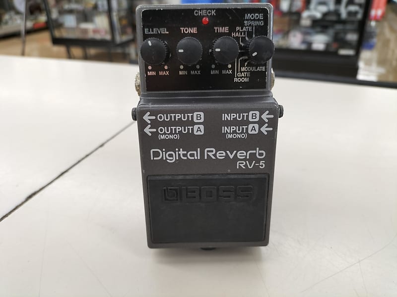 Boss RV-5