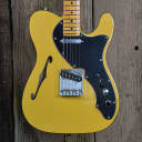 Fender Britt Daniel Telecaster Thinline w/ case