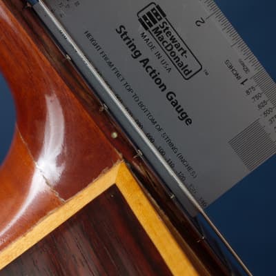 Giannini Craviola AWKNS6 / Nylon String and Bossa Ready! image 14