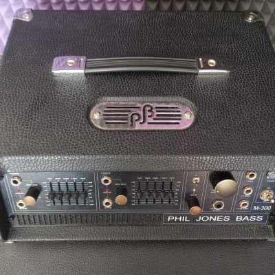 Phil Jones M-300 image 3