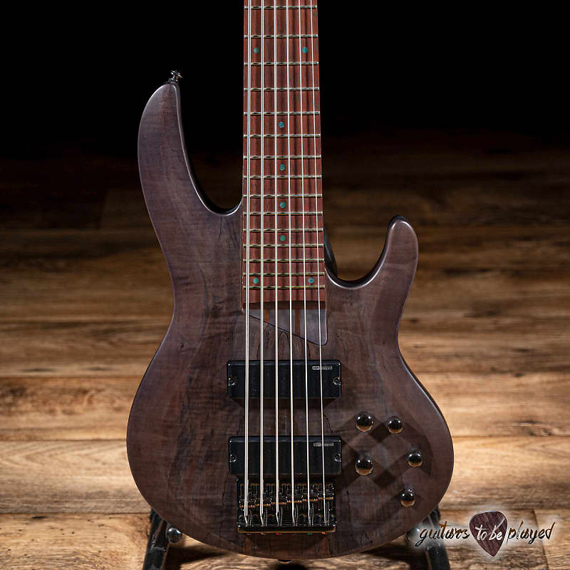 ESP LTD B-206SM 6-String Spalted Maple Bass Guitar – See Thru