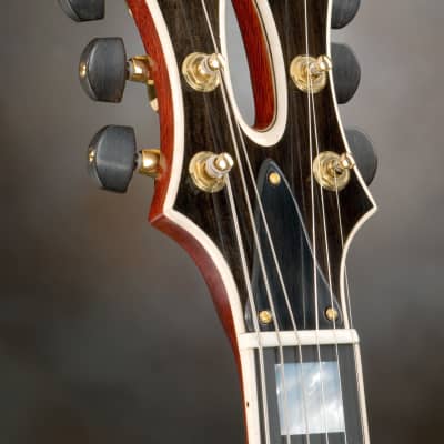Schneider Guitars / The Phoenix / Burgundy Sunburst Nitro image 8