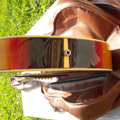 Fender El Rio 80 Japan 1983-86 Brown Sunburst | Reverb