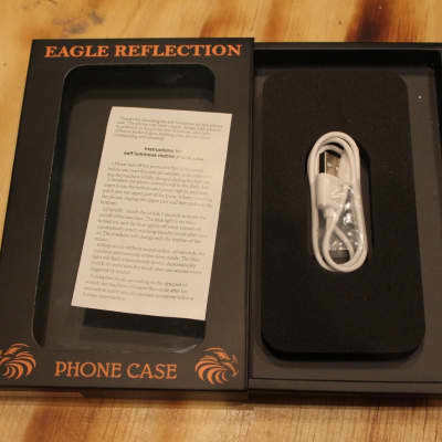 Eagle Reflections Sound Activated Flashing Light Up Phone Case Suitable for iPhone 11 Pro Max (Guitar Design) image 4