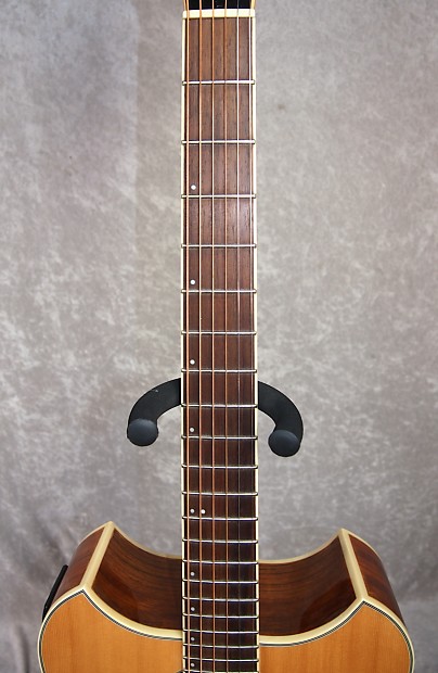 【Wechter Pathmaker 3120】L.R.Baggsピックアップ付 Wechter Pathmaker 3120 acoustic electric guitar with gigbag
