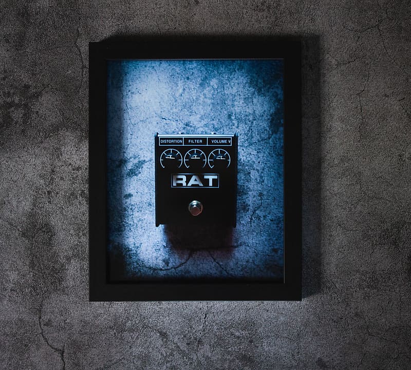 ProCo Rat Studio Series Art Print Framed 8x10 Brand New | Reverb