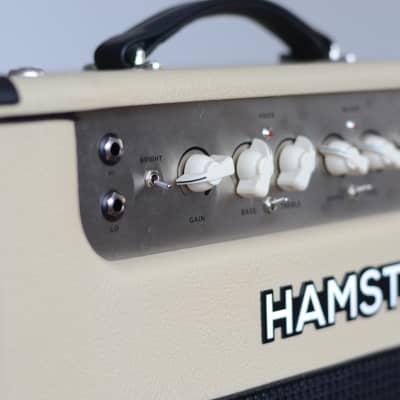 Hamstead Artist 20RT with Flightcase and Soft case image 3