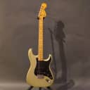 Fender 25th Anniversary Stratocaster Aged Silver w/Case (1979) - Used