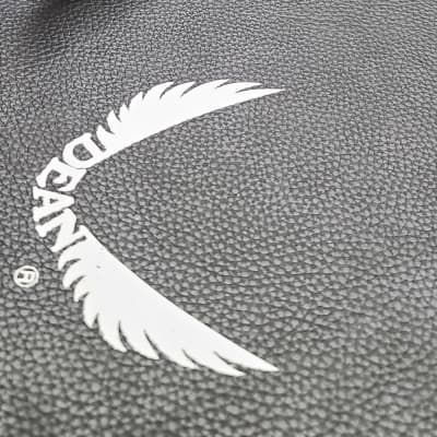 Dean Razorback Dime Razorback 2007 - Shards with Case! | Reverb