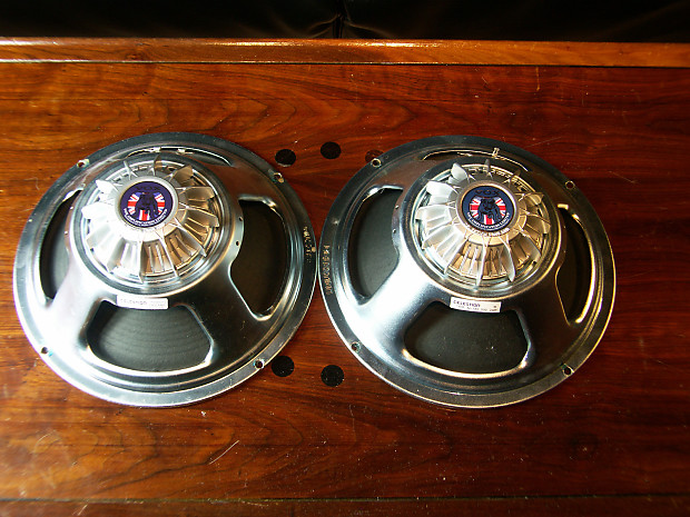 Celestion neodog shop