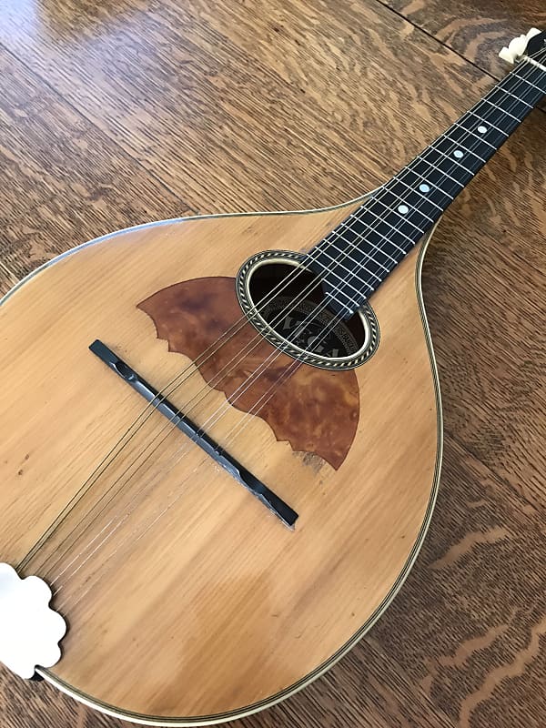 Vega Flat back mandolin 1918 Aged Natural Gloss Reverb UK