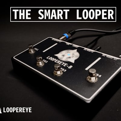 LOOPEREYE-B, The Smart Looper image 1