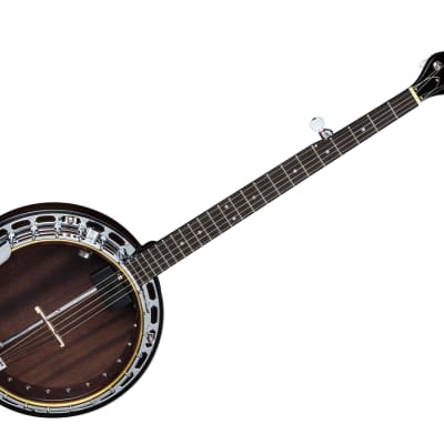 DEAN Backwoods BW2E PRO 5-string electric resonator Banjo NEW w/ HARD CASE - Brass Tone Ring image 2