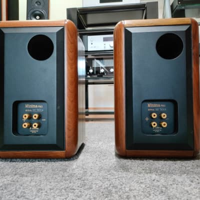 SONUS FABER MINIMA FM2 | Reverb