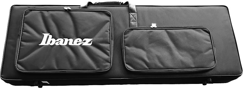 Ibanez premium store soft case