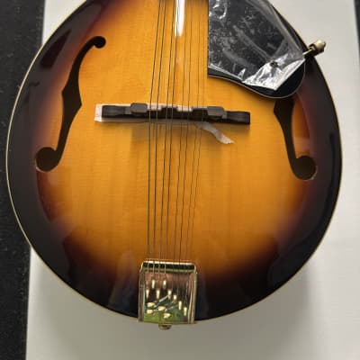 Mitchell Mandolin image 2