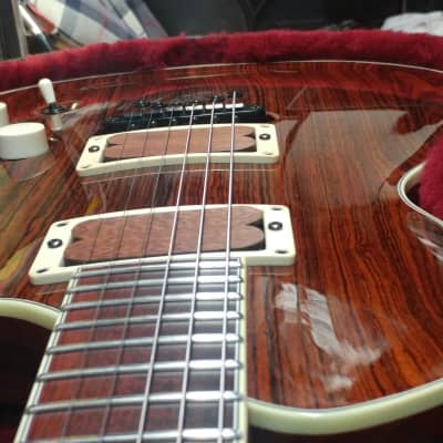 Benavente 2K Custom  T-Rex Guitar image 14