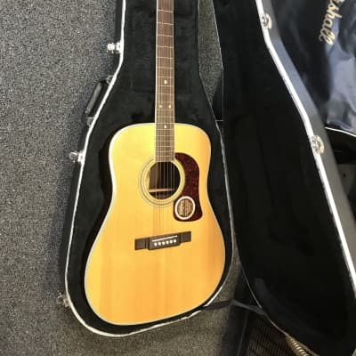 Washburn D21S Dreadnought Acoustic Guitar handcrafted in Korea 1995 in mint condition with hard case for sale