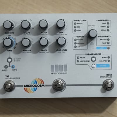Hologram Electronics Microcosm | Reverb