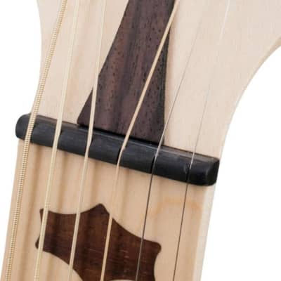 Deering Goodtime Six 6-Steel String Banjo image 10