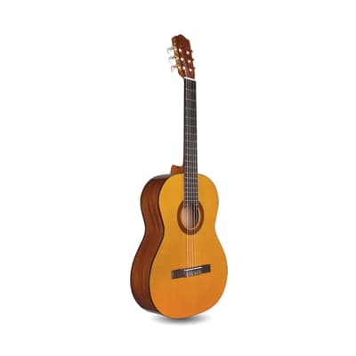 Cordoba Protege C1 Classical Guitar w/ Gig Bag - Gloss Natural image 1