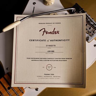 Fender LTD Lincoln Brewster Stratocaster, Maple Fb, Aztec Gold 8lbs 3.9oz image 4