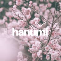 Hanumi Studios