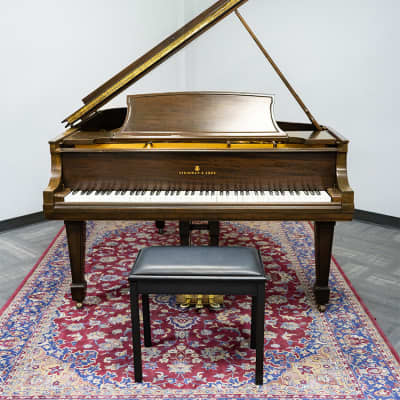Steinway & Sons L WAL Grand Piano | Satin Brown | SN: 259149 image 2