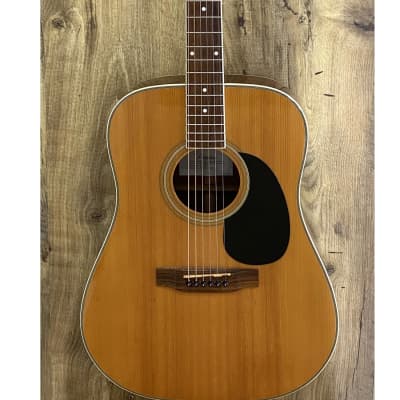 Peerless PD50e Electro-acoustic Dreadnought - Natural for sale