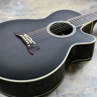 Takamine NPT 110 12 | Reverb UK