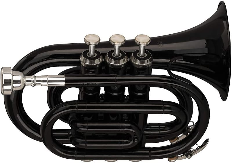 Stagg WS-TR248S Key of Bb, ML-Bore, Brass Body Pocket Trumpet - Black w/  Case