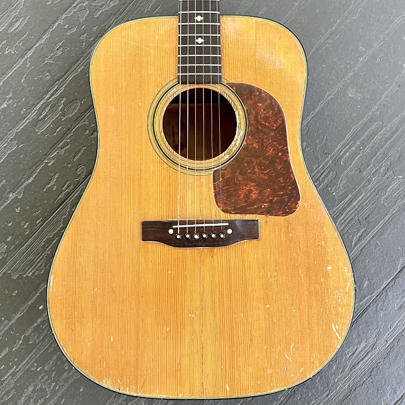 Gallagher Dreadnought Acoustic Guitar, G-45, 1970 image 1