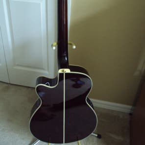 Ibanez AEG10NE Nylon String Cutaway Acoustic-Electric Guitar image 10