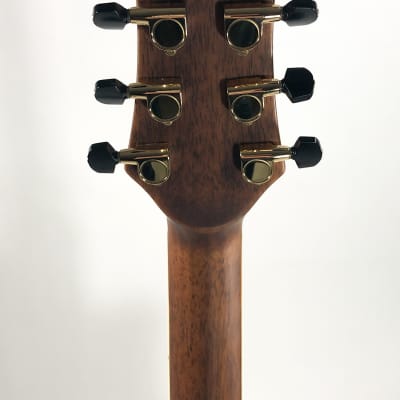 Wood Song DCE-NA-L Left Handed Acoustic/Electric Guitar with Gig Bag image 7