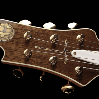 Jersey Girl Guitars: Tapa Kaki-Mint Condition image 4