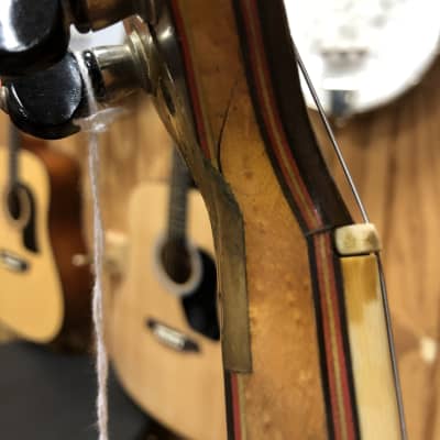 Weymann 1920s Style 2 Tenor 4-string Banjo image 17