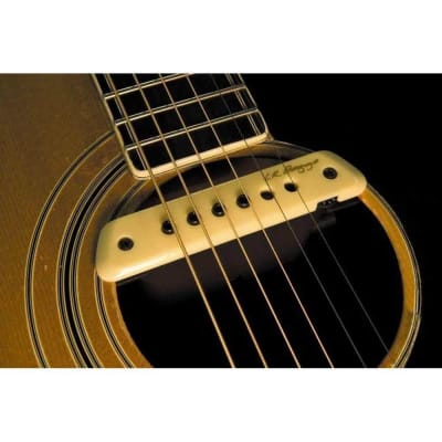 L.R. Baggs M1 Active Acoustic Guitar Soundhole Pickup image 4