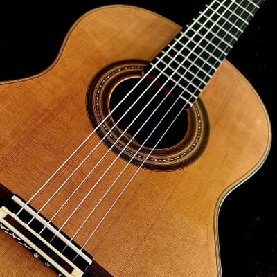 ARNULFO RUBIO Double Top with Nomex Grand Concert Master Grade-Cedar/Ancient Brazilian Rosewood image 9