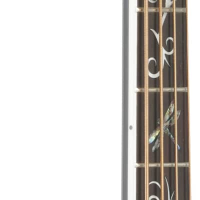 Michael Kelly Dragonfly 4 Acoustic-Electric Bass Guitar, Pau Ferro Fingerboard, Smoke Burst image 6