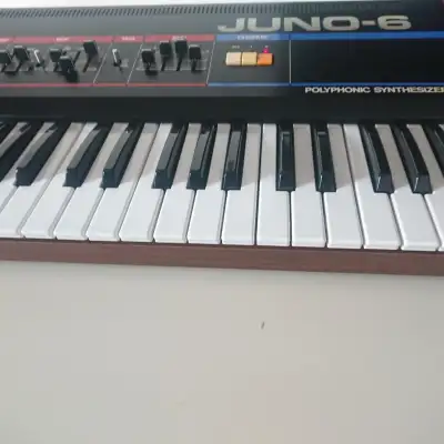 Roland  Juno 6 With MIDI image 10