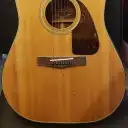 Fender F-210 Acoustic Guitar